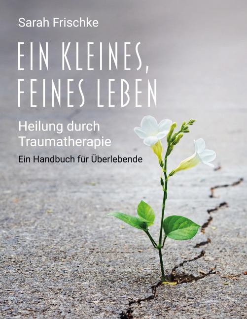 Ein kleines, feines Leben - Sarah Frischke