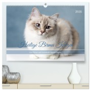 Cover-Bild zum Titel 'Heilige Birma Katzen - Eine Rasse mit traumhaft blauen Augen. (hochwertiger Premium Wandkalender 2026 DIN A2 quer), Kunstdruck in Hochglanz' von 'Michaela Thoms'