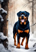 Cover-Bild zum Titel 'Hund Notizbuch Winterzeit Weihnachten Rottweiler mit 55 lustigen Motivationssprüchen Lebensweisheiten Hundeliebe Geschenk Rottie Hunde' von 'Beau Barkside'