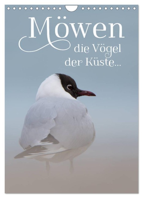 Möwen - die Vögel der Küste (Wandkalender 2026 DIN A4 hoch), CALVENDO Monatskalender - Heidi Spiegler (Anneliese-Photography)