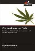 Cover-Bild zum Titel 'C'è qualcosa nell'aria' von 'Sophie Dvorakova'