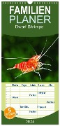 Familienplaner 2024 - Dwarf Shrimps mit 5 Spalten (Wandkalender, 21 x 45 cm) CALVENDO - Rudolf Pohlmann