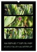 ZAUBERWELT DER BLUMEN - EISKRISTALLE & WASSERPERLEN (Wandkalender 2026 DIN A3 hoch), CALVENDO Monatskalender - Hinter-Dem-Horizont-Media. Net Tanja & Bernhard Kiesow