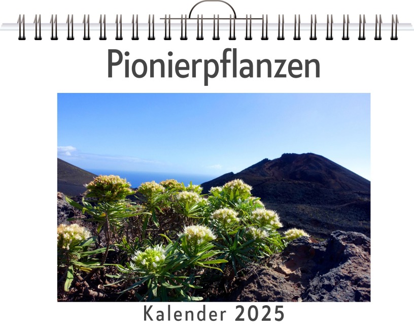 Pionierpflanzen - (Wandkalender 2025, Kalender DIN A4 quer, Monatskalender im Querformat mit Kalendarium, das perfekte Geschenk) - Samuel Günther