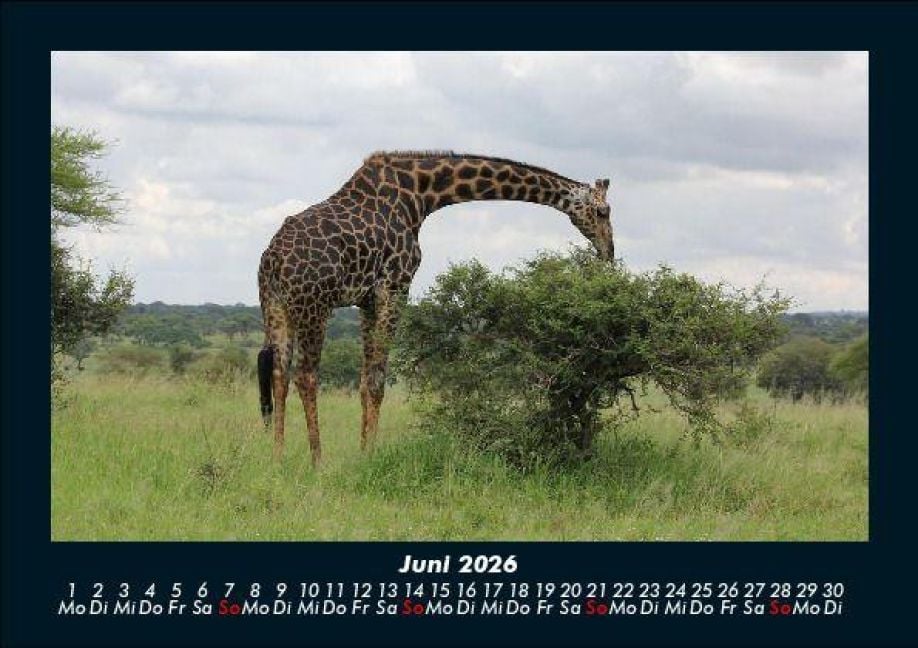 InsideView 10