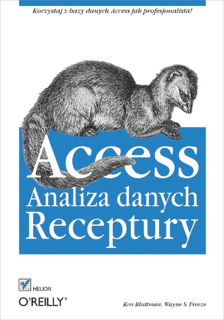 Access. Analiza danych. Receptury - Ken Bluttman