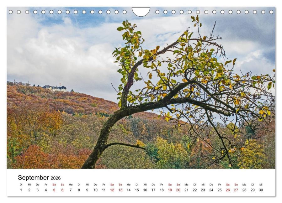 InsideView 14
