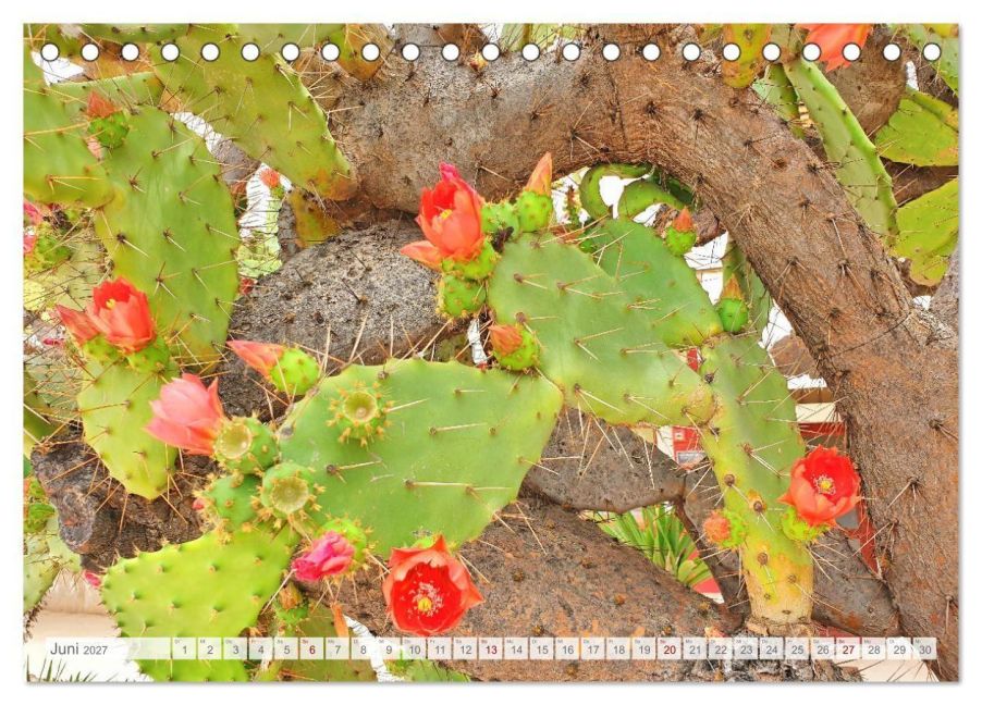 InsideView 11