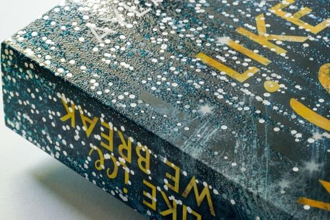 InsideView 6