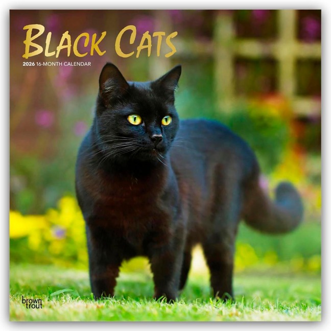 Black Cats - Schwarze Katzen 2026 - 16-Monatskalender - Browntrout Publishers
