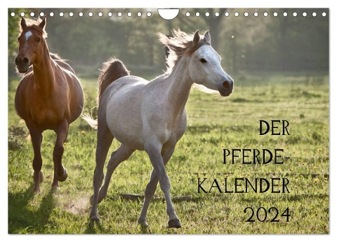 Pferdekalender (Wandkalender 2024 DIN A4 quer), CALVENDO Monatskalender - Hans Zitzler