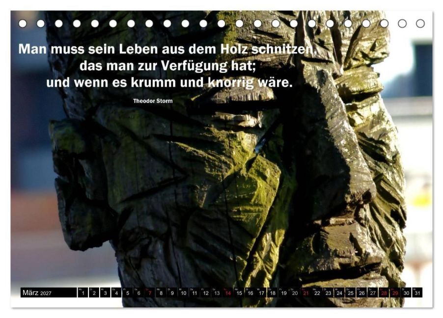 InsideView 8