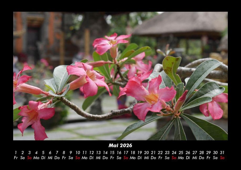 InsideView 9