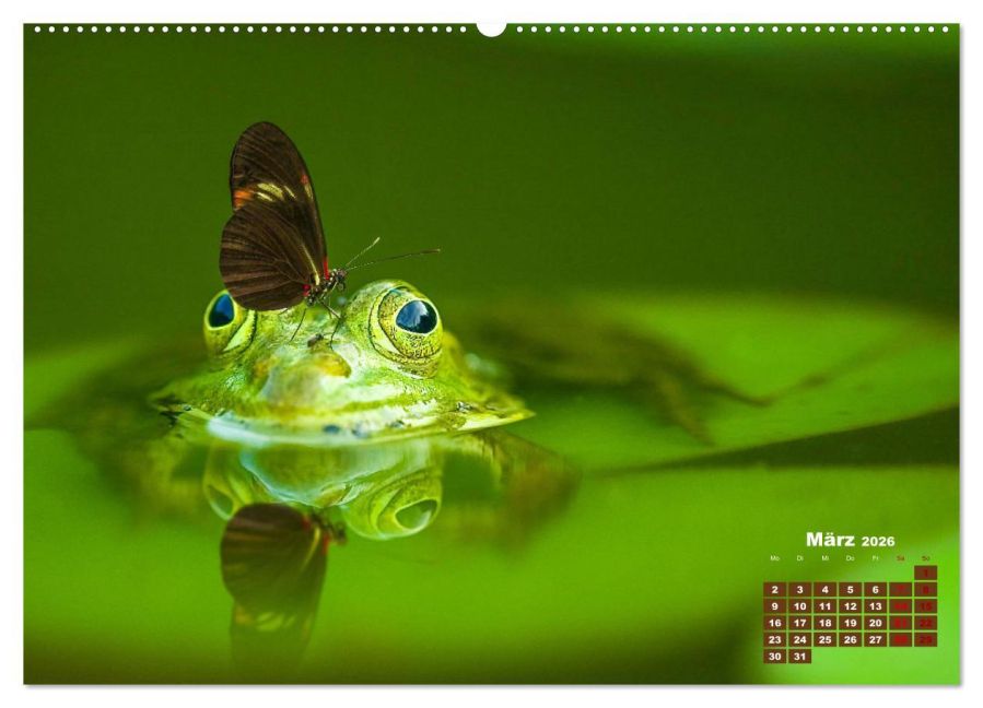 InsideView 7