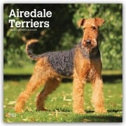 Cover-Bild zum Titel 'Airedale Terrier 2027 - 16-Monatskalender' von 'Browntrout Publishers'