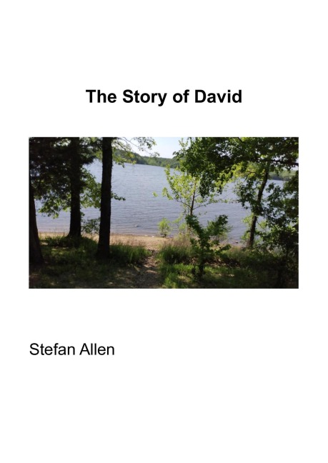 The Story of David (Bible Stories, #3) - Stefan Allen