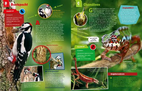 InsideView 5