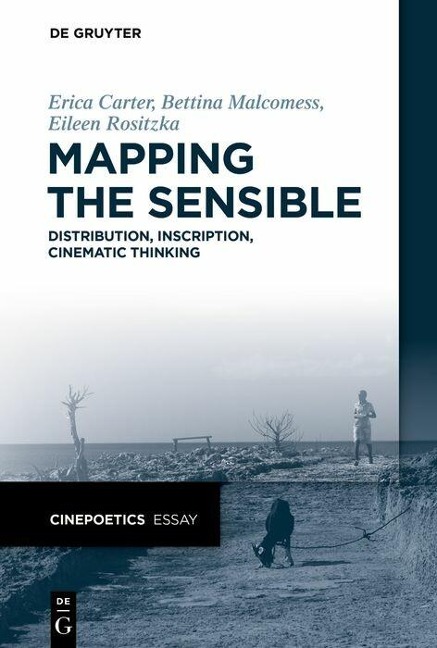 Mapping the Sensible - Erica Carter, Bettina Malcomess, Eileen Rositzka