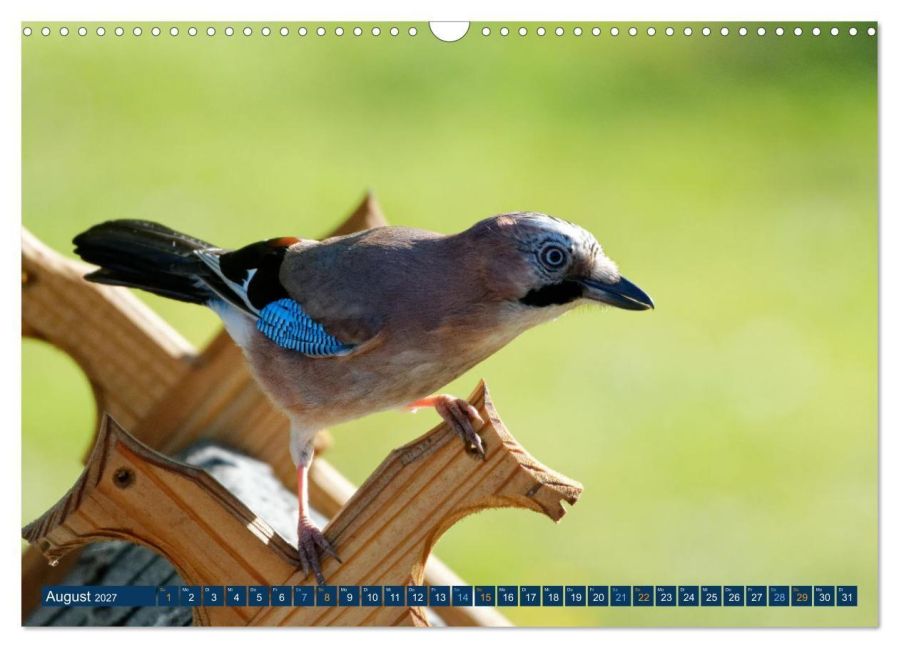 InsideView 13