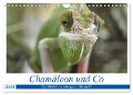 Chamäleon und Co (Wandkalender 2024 DIN A4 quer), CALVENDO Monatskalender - Agata Muszalski