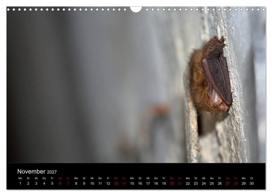 InsideView 3