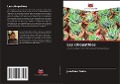 Cover-Bild zum Titel 'Les ciliopathies' von 'Jonathan Tobin'
