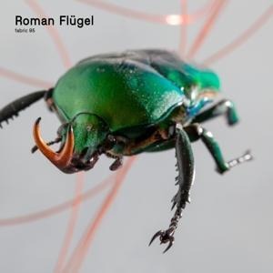 fabric 95: Roman Flügel - Roman Flügel