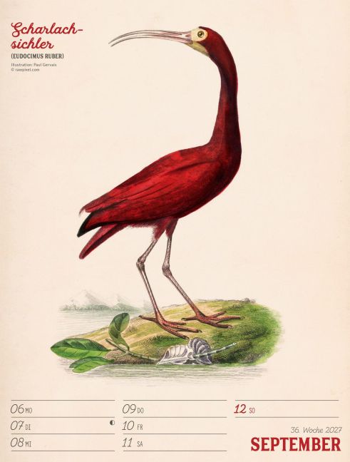 InsideView 40
