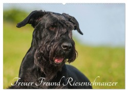Cover-Bild zum Titel 'Treuer Freund Riesenschnauzer (Wandkalender 2027 DIN A2 quer), CALVENDO Monatskalender' von 'Sigrid Starick'