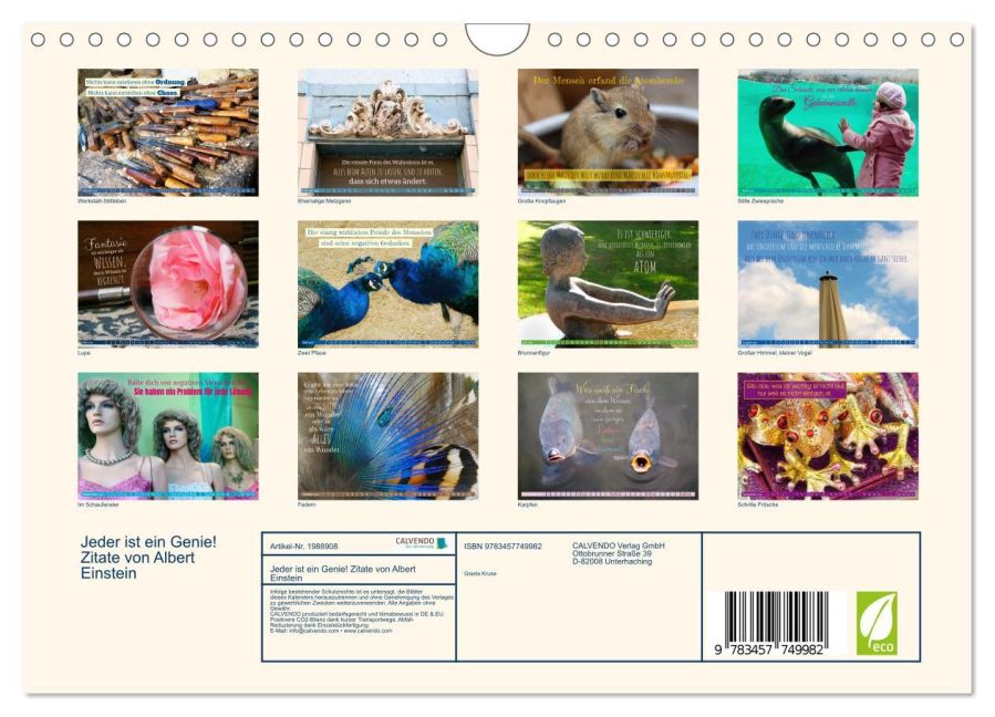 InsideView 5