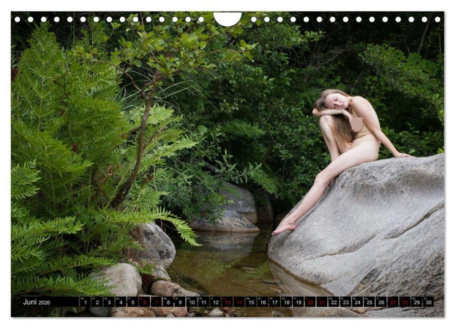 InsideView 11