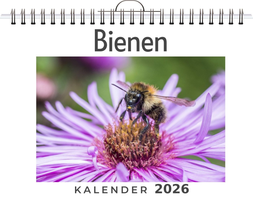 Bienen - David Hofmann