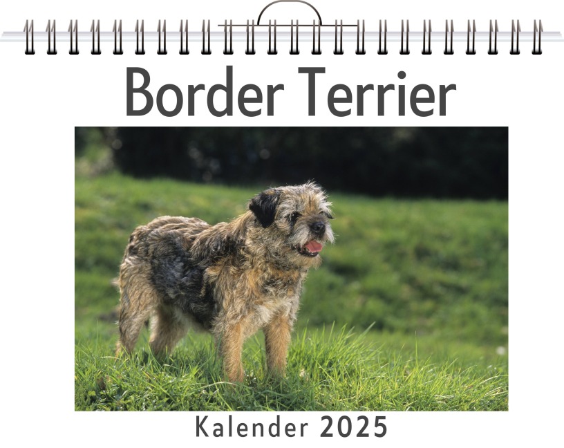 Border Terrier - Alexander Peters