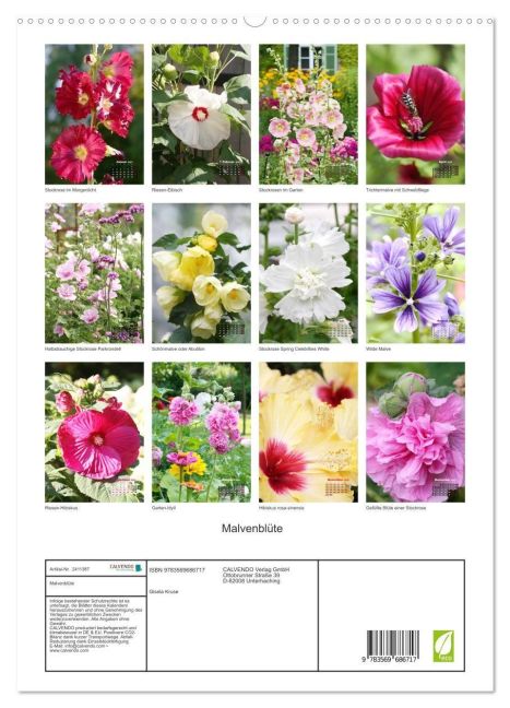 InsideView 4