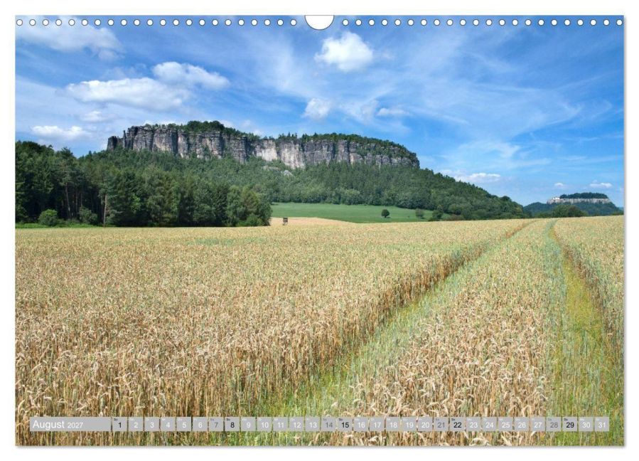 InsideView 13