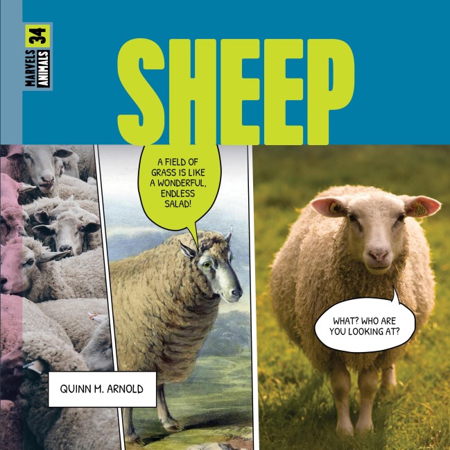 Sheep - Quinn M Arnold