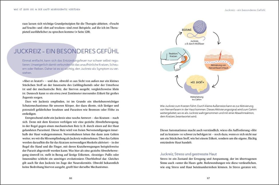 InsideView 7