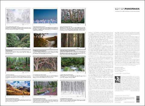 InsideView 13