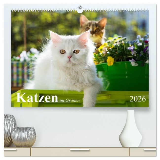 Katzen im Grünen (hochwertiger Premium Wandkalender 2026 DIN A2 quer), Kunstdruck in Hochglanz - Judith Dzierzawa