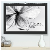Cover-Bild zum Titel 'Pflanzen in Schwarz und Weiß (hochwertiger Premium Wandkalender 2026 DIN A2 quer), Kunstdruck in Hochglanz' von 'Kirsten Karius'