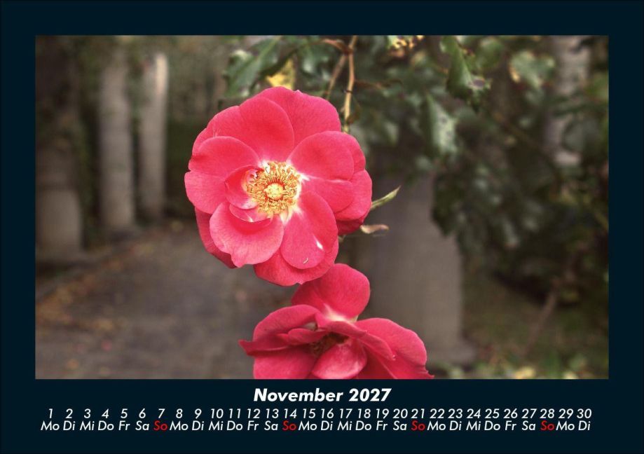 InsideView 3