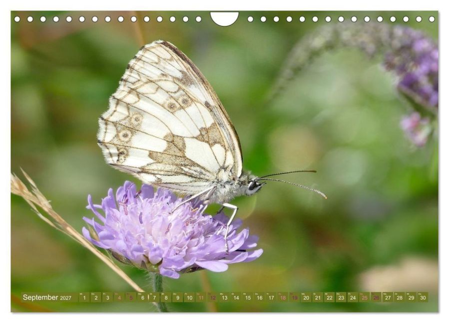 InsideView 14