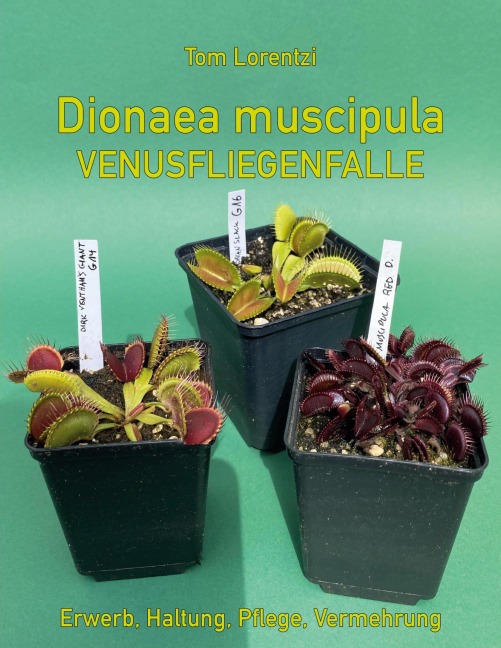 Dionaea muscipula - Tom Lorentzi
