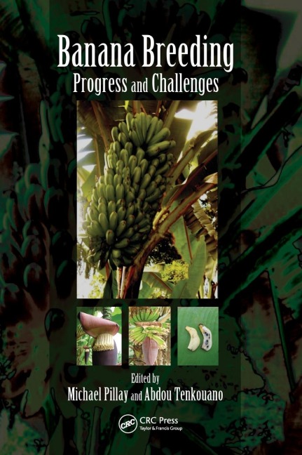 Banana Breeding - 