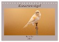 Kanarienvögel - Bunte Welt (Tischkalender 2024 DIN A5 quer), CALVENDO Monatskalender - Akrema-Photography Akrema-Photography