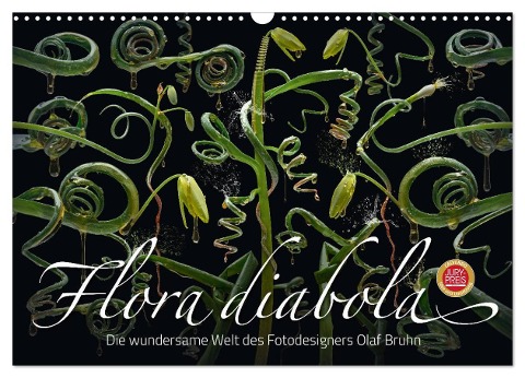 Flora diabola - Die wundersame Welt des Fotodesigners Olaf Bruhn (Wandkalender 2024 DIN A3 quer), CALVENDO Monatskalender - Olaf Bruhn