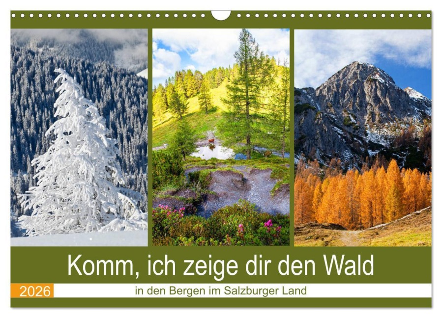 Komm, ich zeige dir den Wald (Wandkalender 2026 DIN A3 quer), CALVENDO Monatskalender - Christa Kramer