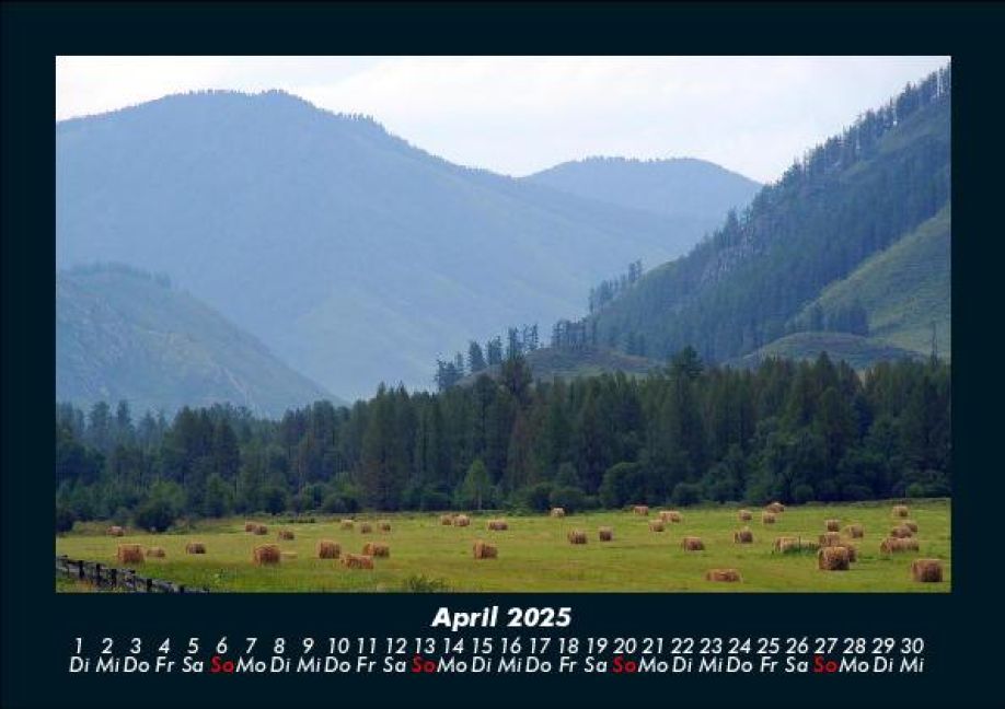 InsideView 8
