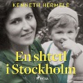 Cover-Bild zum Titel 'En shtetl i Stockholm' von 'Kenneth Hermele'