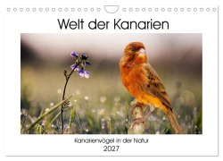 Cover-Bild zum Titel 'Welt der Kanarien (Wandkalender 2027 DIN A4 quer), CALVENDO Monatskalender' von 'AkremaFotoArt'